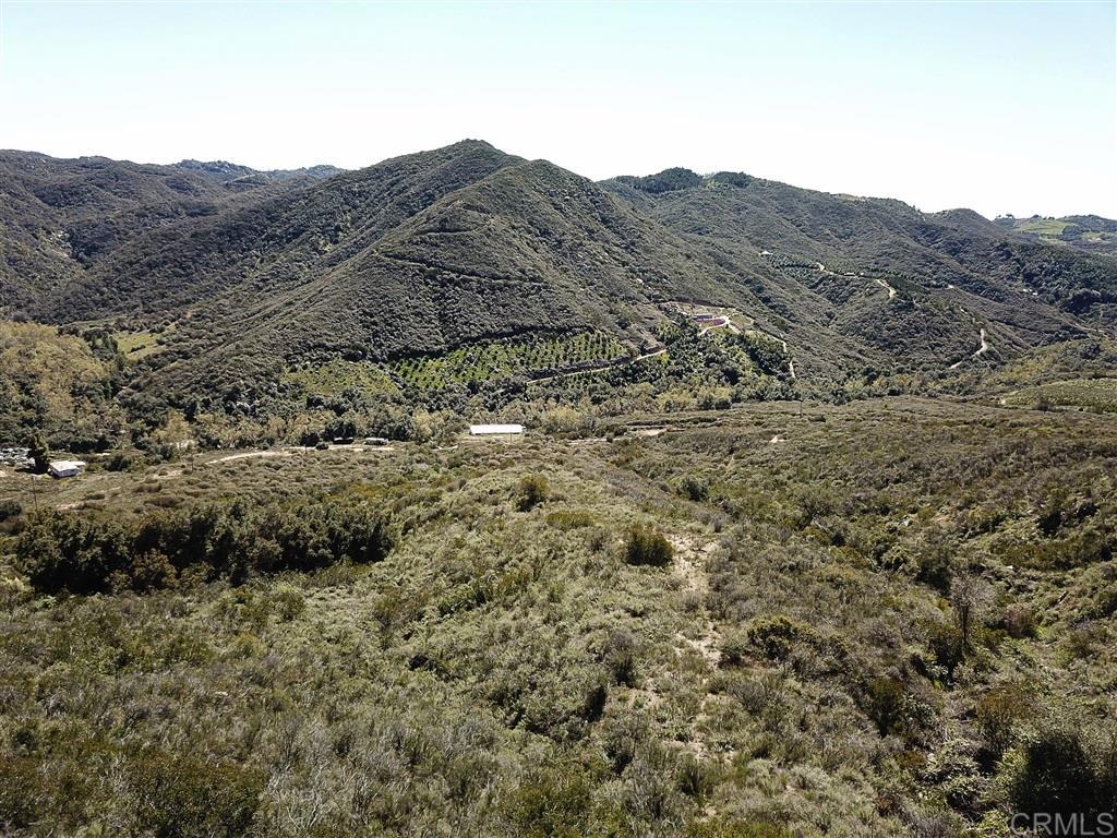 1 De Luz Murrieta Road Fallbrook, CA 92028 - Photo 10 of 12 a view of a forest with mountains in the background