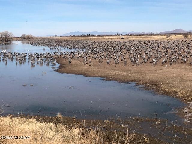 Tbd North High Lonesome Road, Unit 124 McNeal, AZ 85617 - Photo 2 of 13
