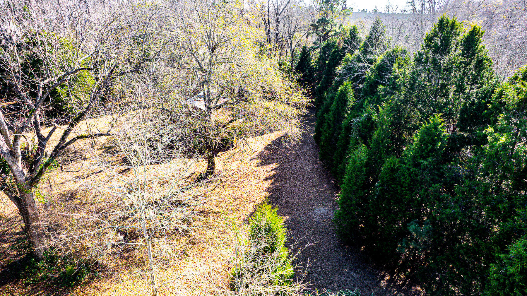 970 Groomstown Road Cross, SC 29436 - Photo 22 of 30 JRH-39