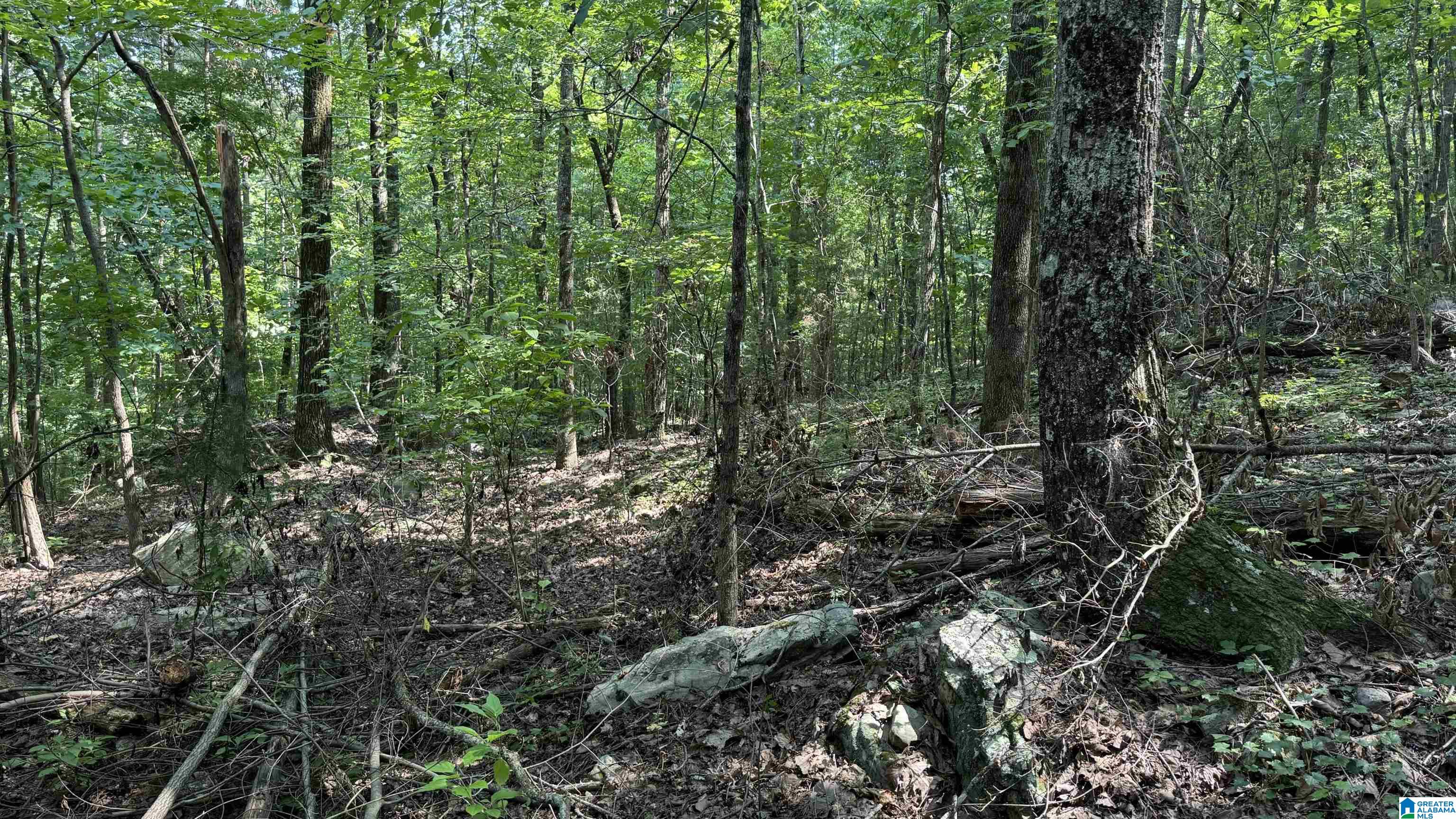 0 Twisted Oak Road Gurley, AL 35748 - Photo 7 of 13