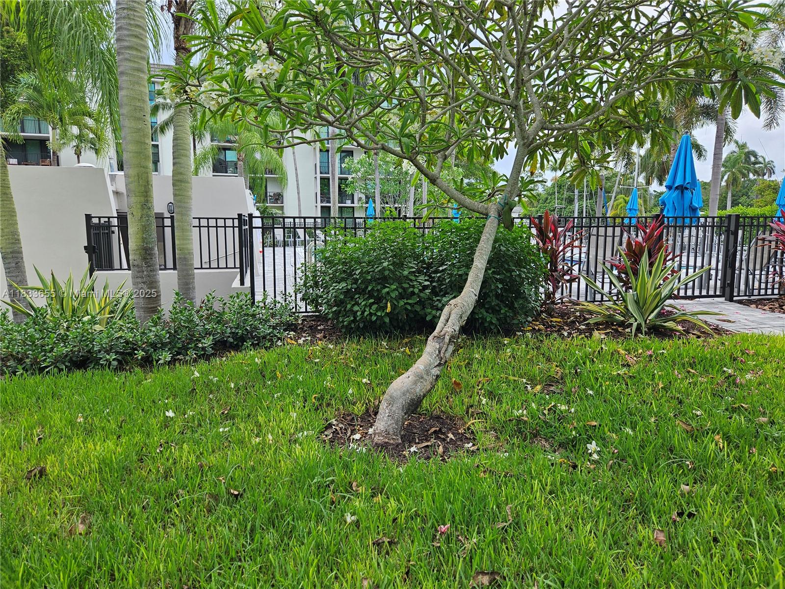 1101 River Reach Drive, Unit 418 Fort Lauderdale, FL 33315 - Photo 52 of 54