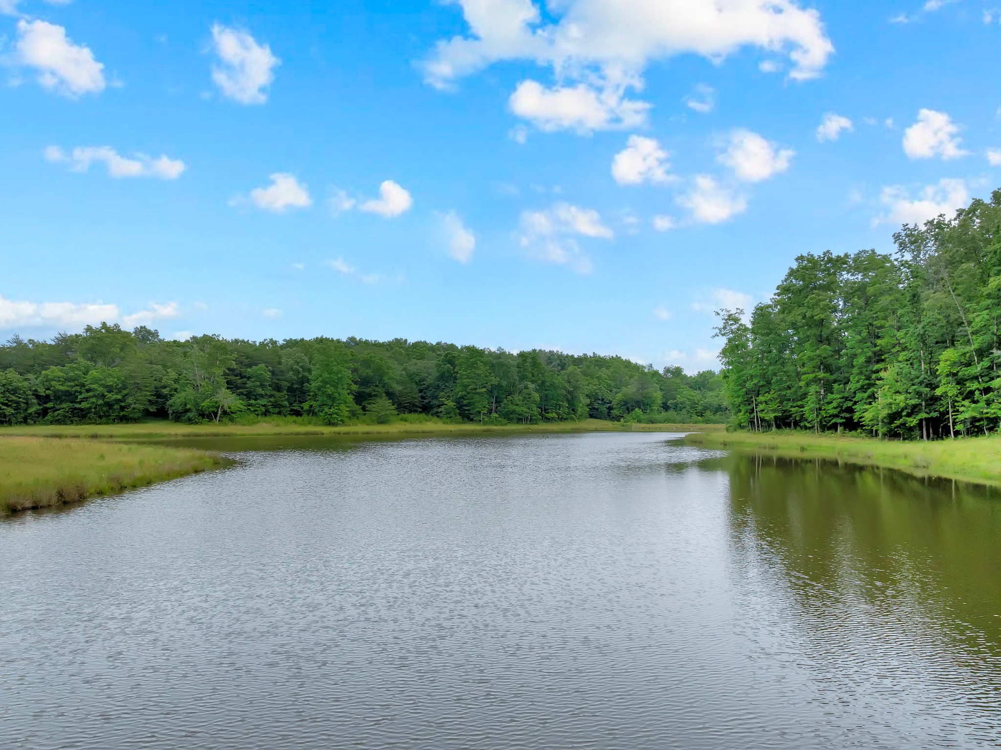 0 Salzer Mountain Road Spencer, TN 38585 - Photo 21 of 28
