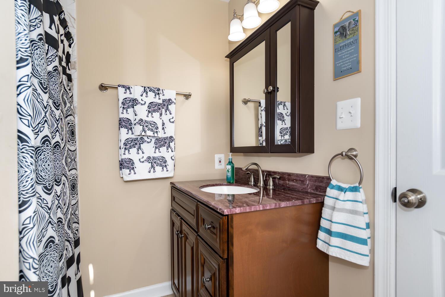 624 Romancoke Road Stevensville, MD 21666 - Photo 26 of 46 Charming bathroom with stylish accents.