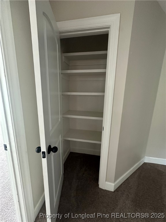 1024 Micahs Way North Spring Lake, NC 28390 - Photo 41 of 43 a view of walk in closet