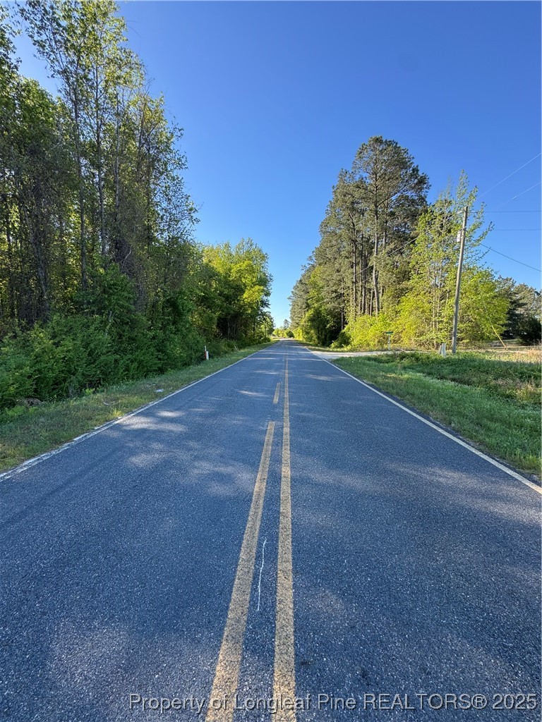 Mcbryde Mill Road Red Springs, NC 28377 - Photo 5 of 6