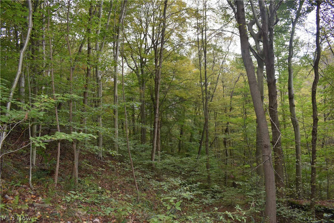 Burkhart Road Tippecanoe, OH 44699 - Photo 18 of 24 Gallery Image 18
