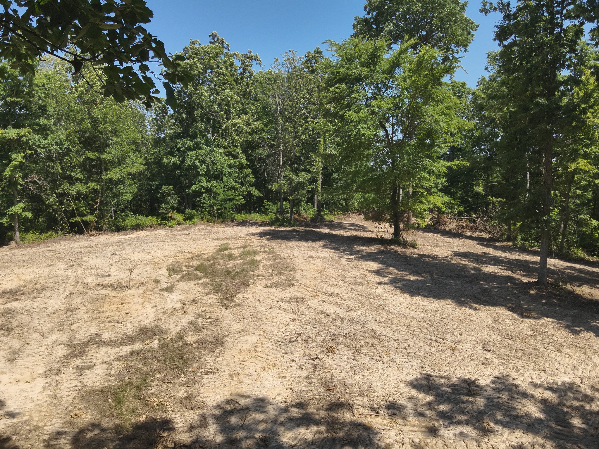 0 Bear Creek Road Waverly, TN 37185 - Photo 8 of 35 a view of a yard with a tree
