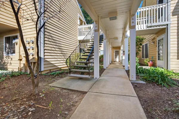 a view of a path along with potted plants