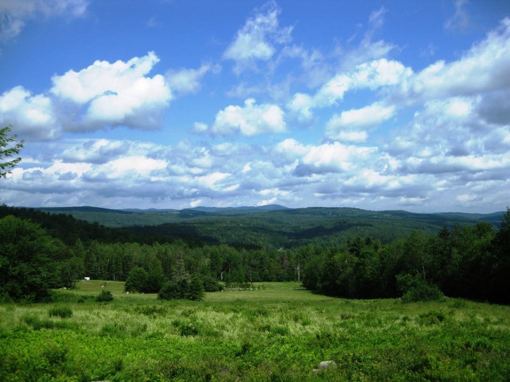 906 Folsom Hill Road Marshfield, VT 05658 - Photo 2 of 32 Gallery Image 2