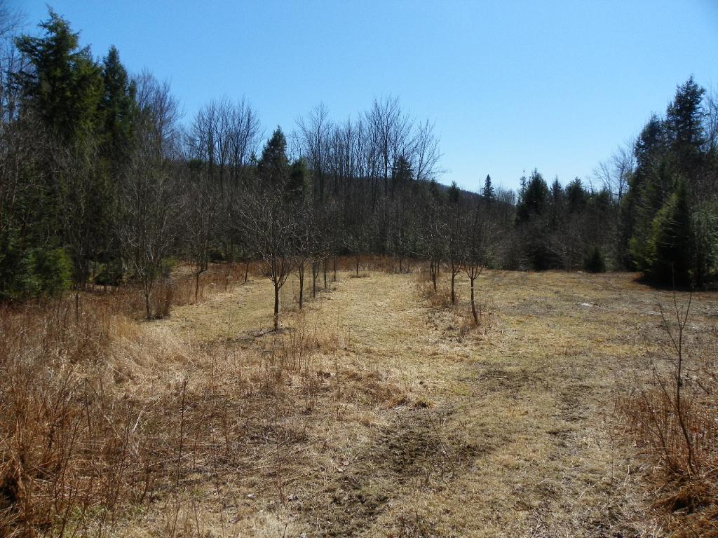 906 Folsom Hill Road Marshfield, VT 05658 - Photo 17 of 32 Gallery Image 17