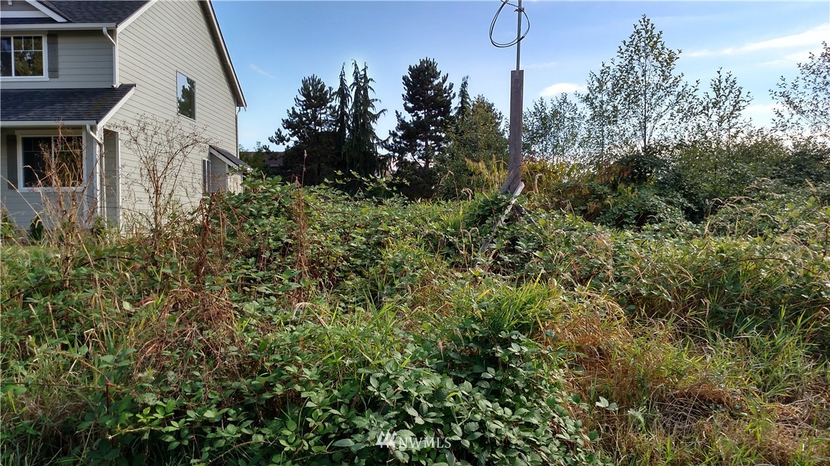 517 Vernon Road Lake Stevens, WA 98258 - Photo 5 of 5 Gallery Image 5