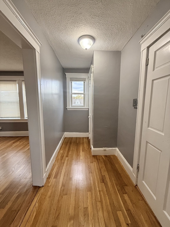 39 Wentworth Street, Unit 3 Boston, MA 02124 - Photo 2 of 19