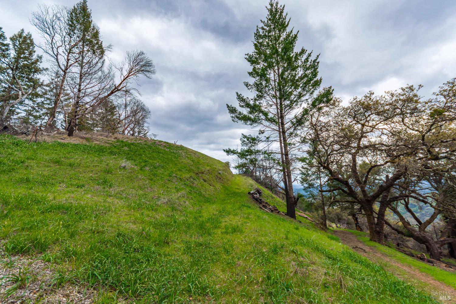 1401 Big Ridge Road Healdsburg, CA 95448 - Photo 71 of 86