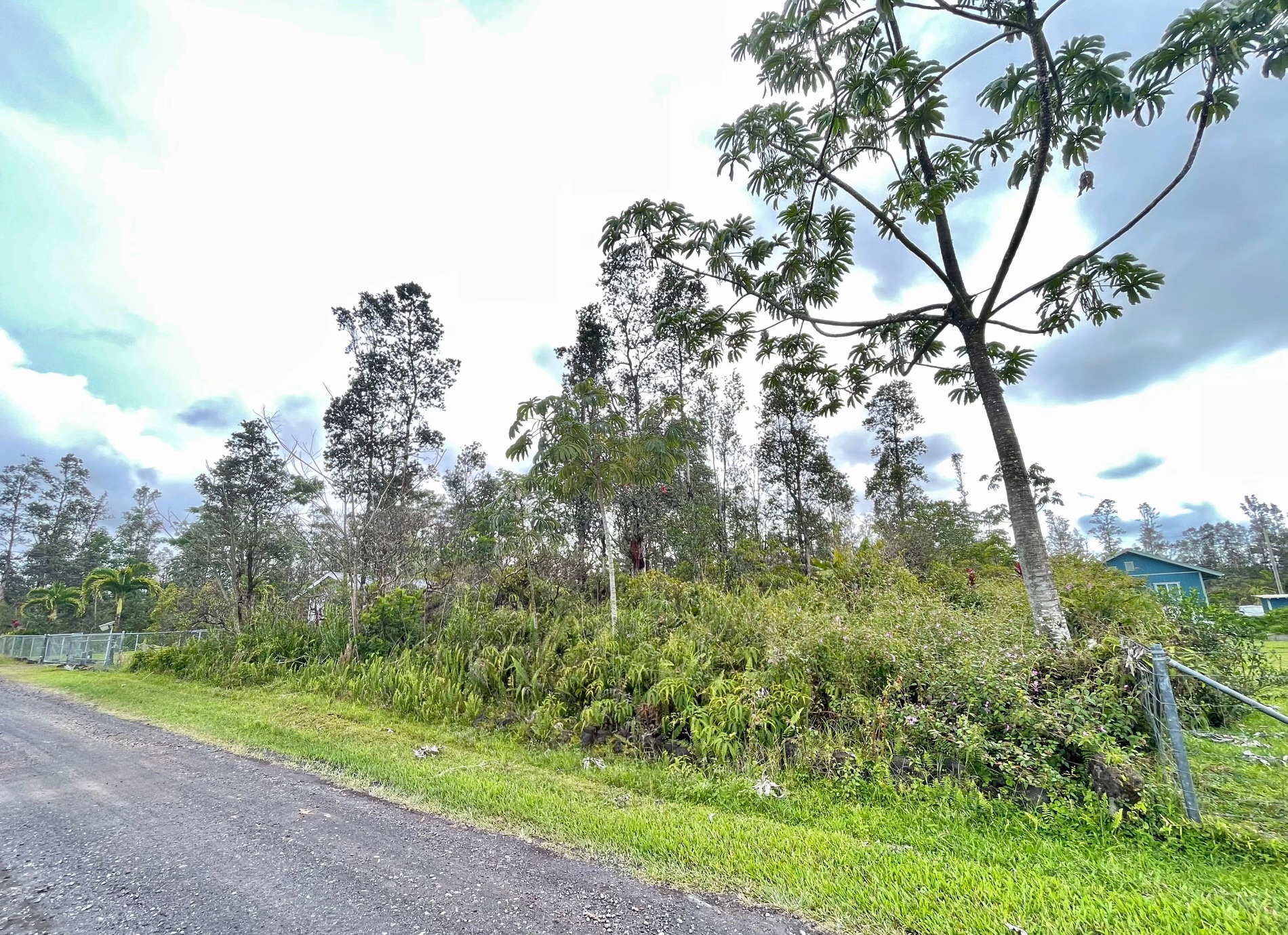 28 Azure Road Pahoa, HI 96778 - Photo 7 of 9 Gallery Image 7