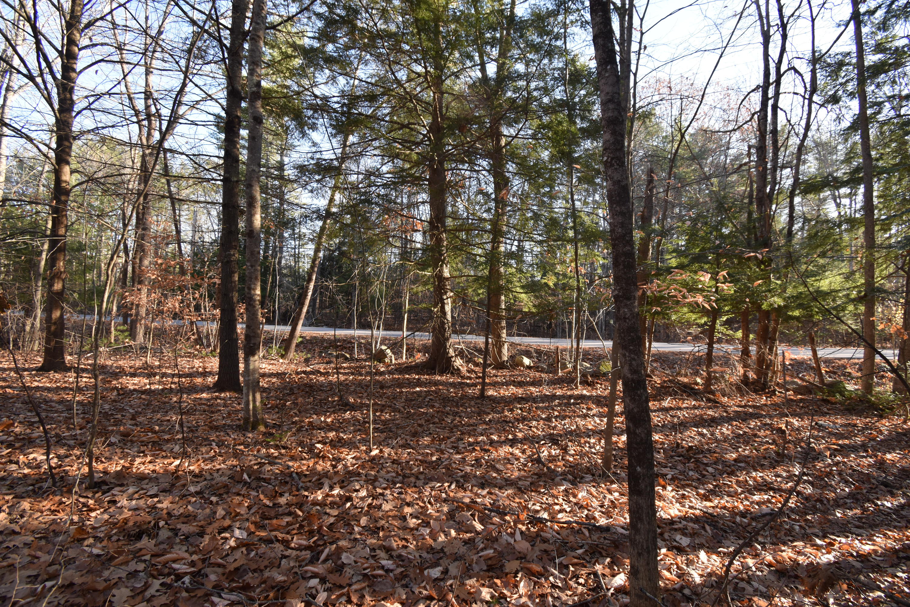 0 Lunts Hill Road Litchfield, ME 04350 - Photo 70 of 80 DSC_0927