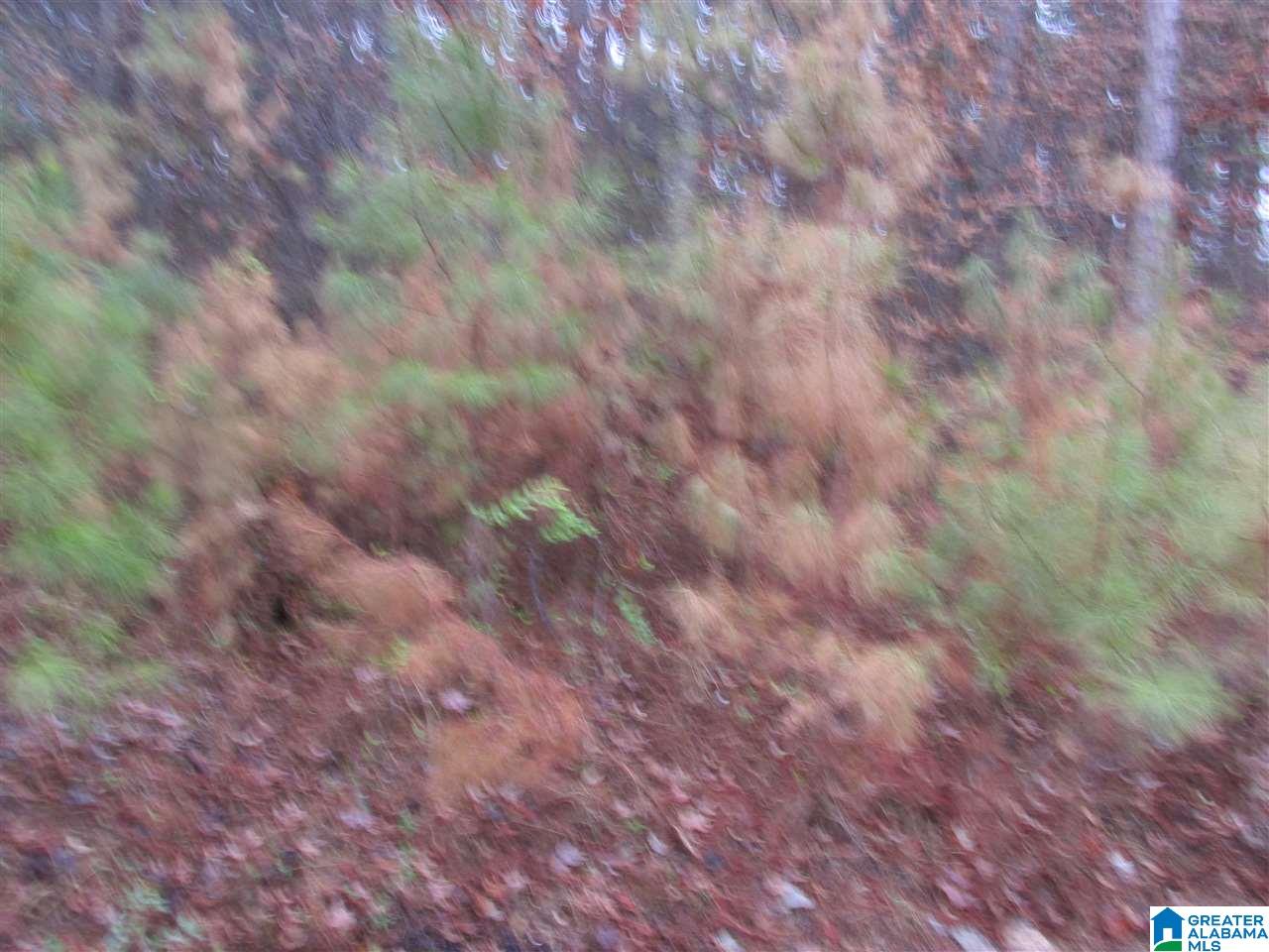 0 Spruce Lane, Unit 10 Oneonta, AL 35121 - Photo 2 of 2