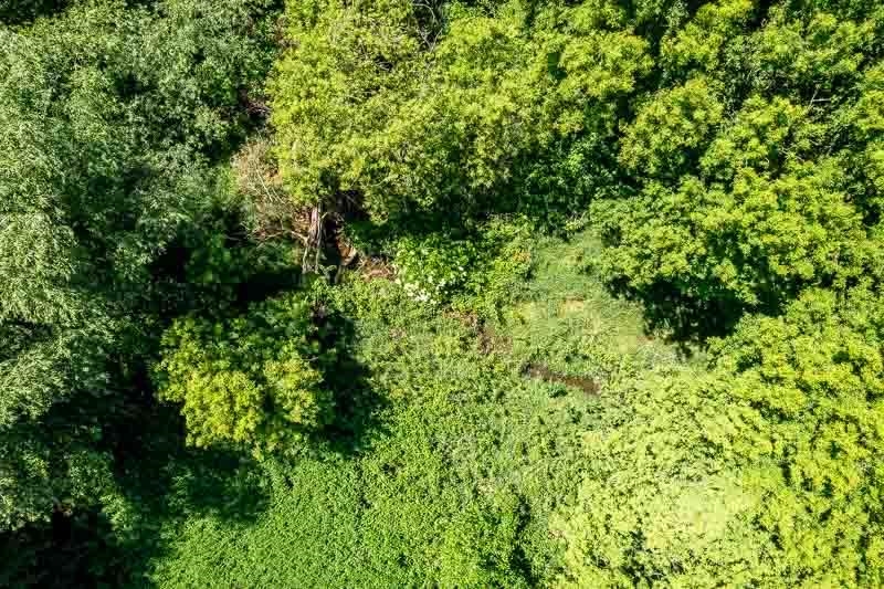 8983 Cemetery Road Rockton, IL 61072 - Photo 71 of 72