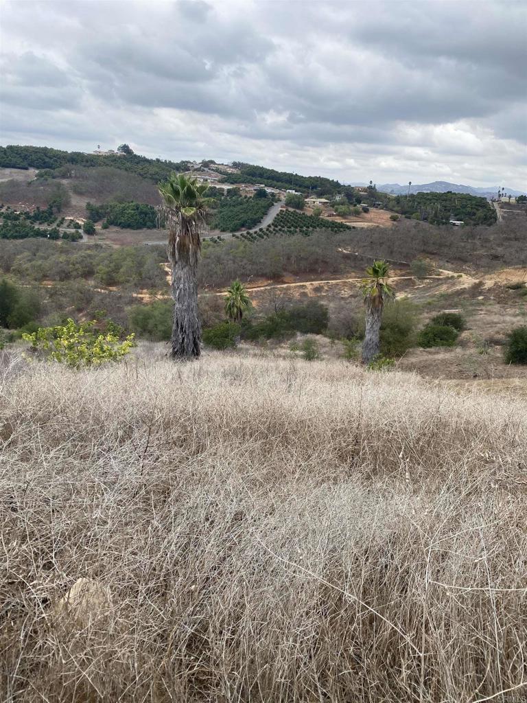 Ridge Creek Rd Valley Center Valley Center, CA 92082 - Photo 2 of 6 a view of a lake with beach and city