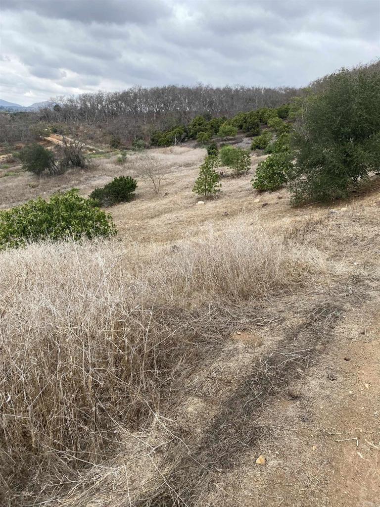Ridge Creek Rd Valley Center Valley Center, CA 92082 - Photo 3 of 6 a view of an outdoor space and a lake view