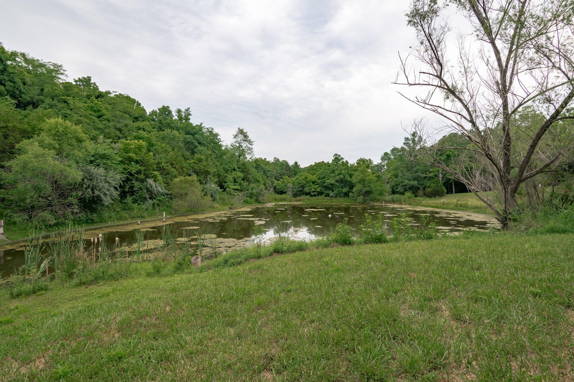 2344 Whitson Road Cynthiana, KY 41031 - Photo 30 of 39 2344_whitson_rd_7_9_24-031.jpg-SMALL