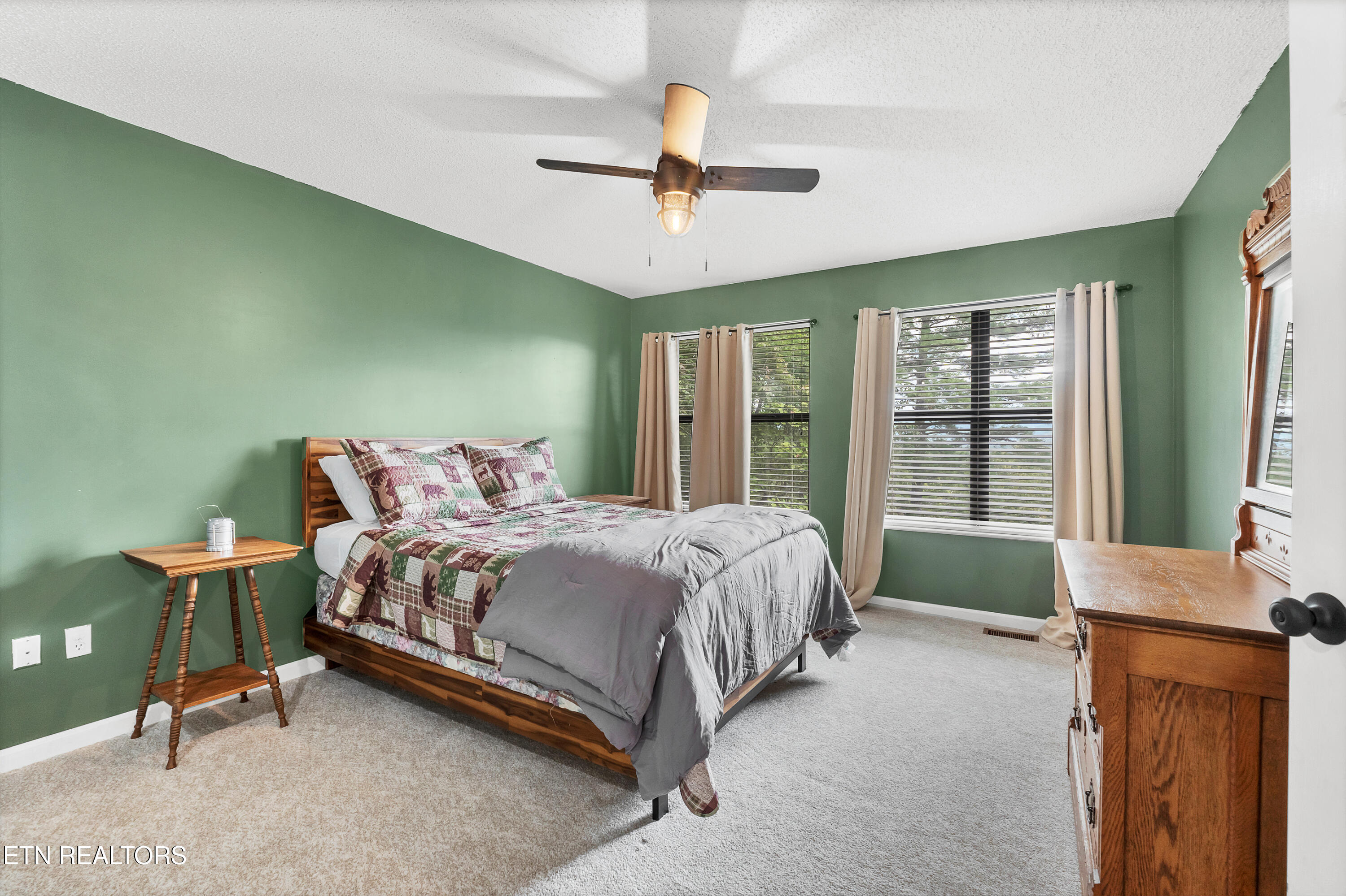 544 Nathans Nook Road Townsend, TN 37882 - Photo 22 of 31 DSC03607