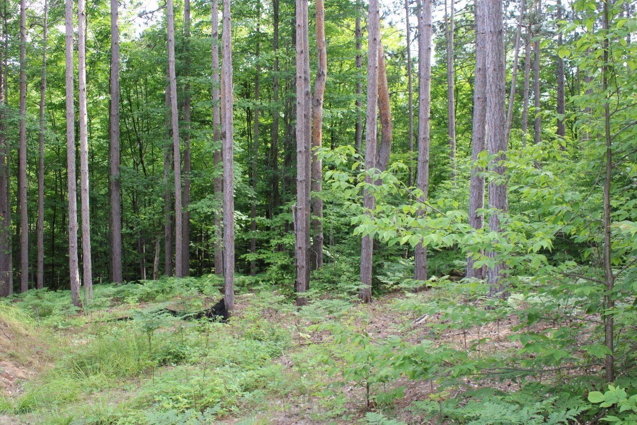 2750 Apple Creek Road Kalkaska, MI 49646 - Photo 13 of 24