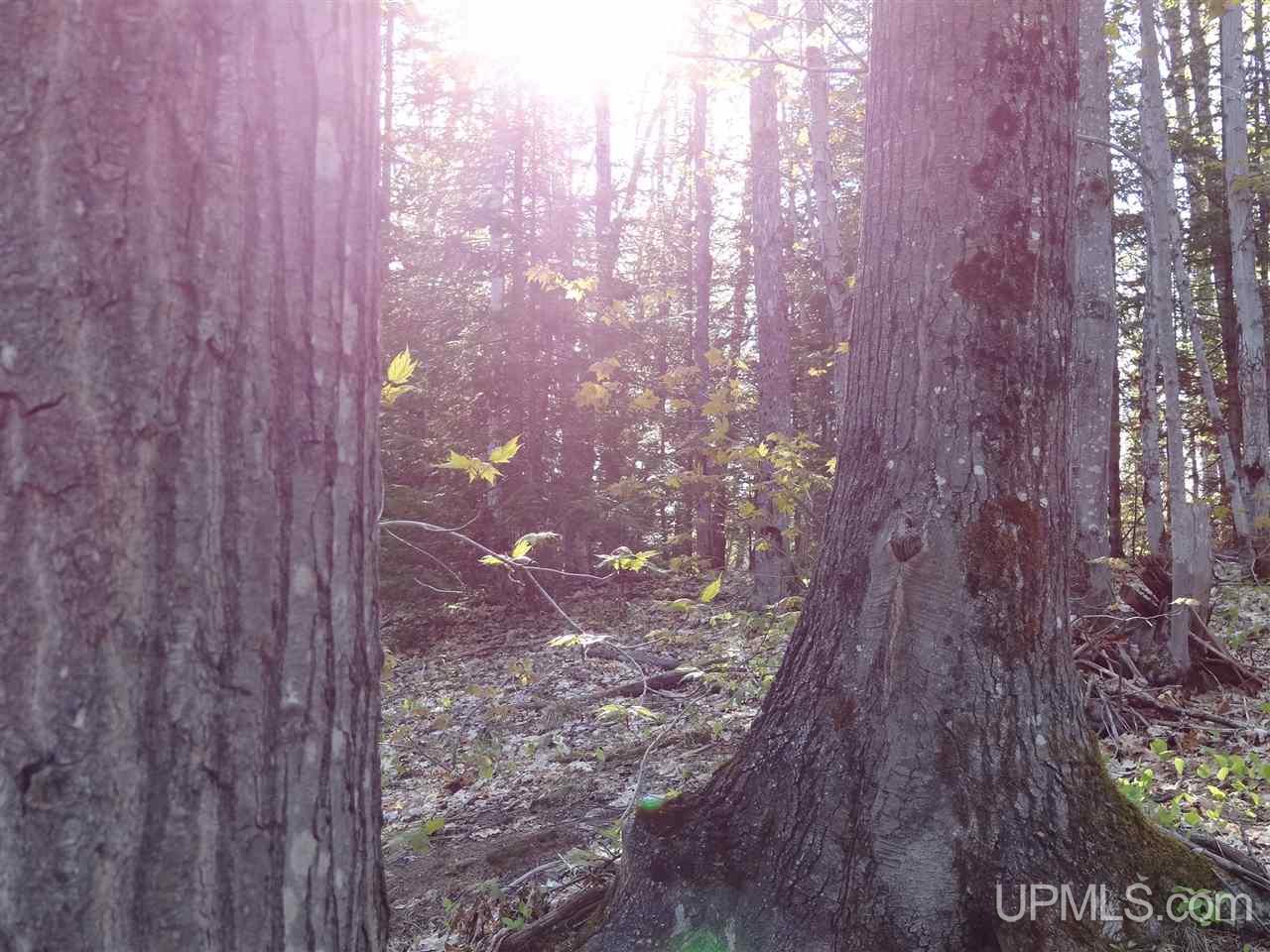Tbd Rauhala Road, Unit PARCEL 3 Atlantic Mine, MI 49931 - Photo 14 of 19
