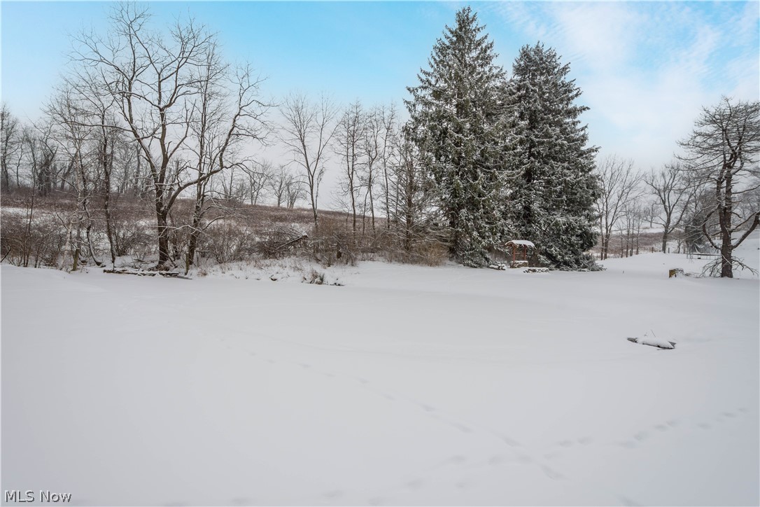4450 Bealls Ridge Wellsburg, WV 26070 - Photo 5 of 34