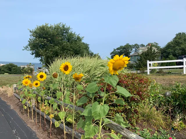 a view of lake with green field