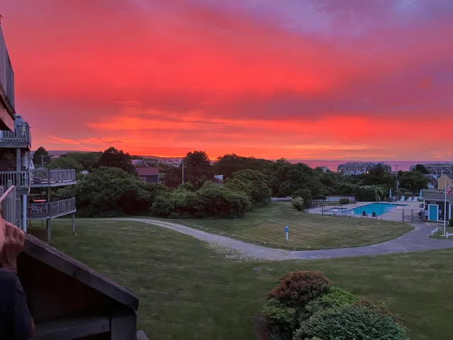 a picture of flowers