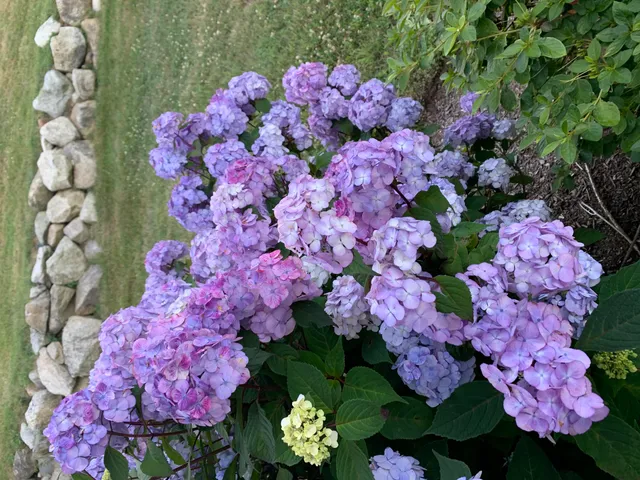 $649,999 | 24 Highland Terrace, Unit 2415, Plymouth, MA 02360