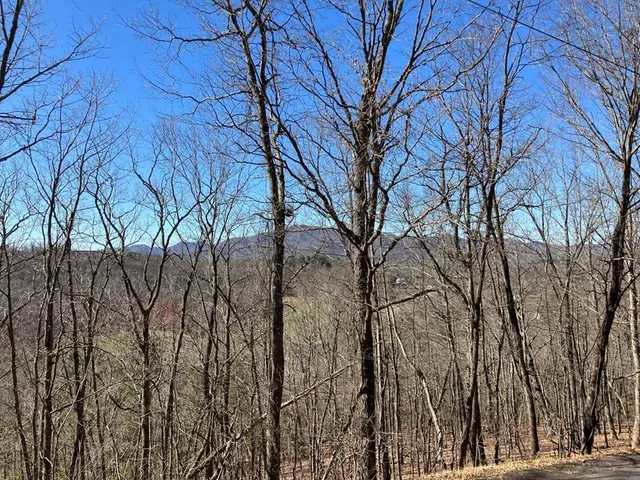 $39,495 | Lot 4 Mirandi Drive, Warne, NC 28909