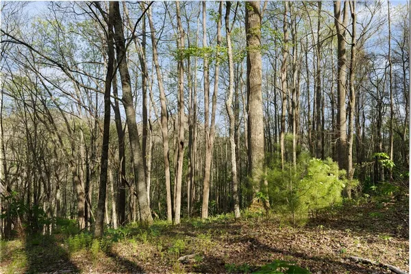 $149,000 | Man O War Drive, Vilas, NC 28692