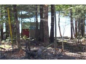 Lot 771 South Shore Road New Durham, NH 03855 - Photo 8 of 9 Gallery Image 8