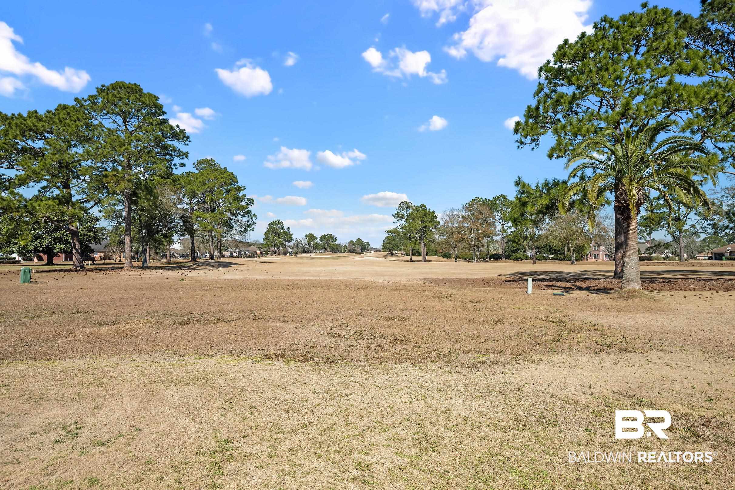 22375 County Road 12 South Foley, AL 36535 - Photo 40 of 94