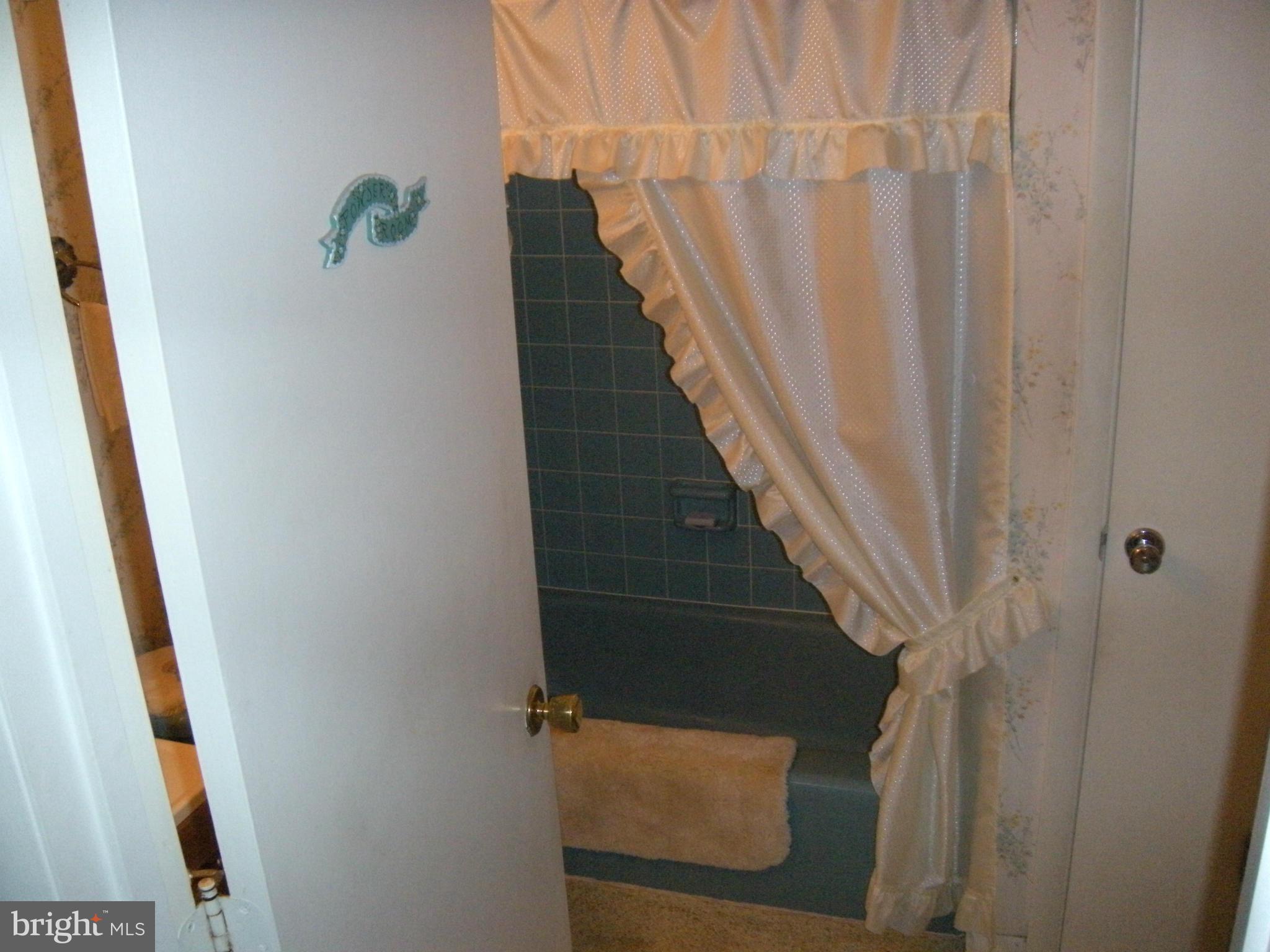 1307 Taney Avenue Frederick, MD 21702 - Photo 17 of 23 a view of entryway