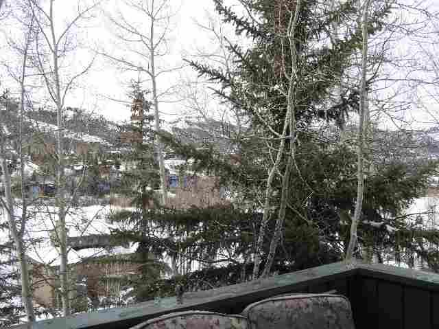 222 Meadow Ranch Road Snowmass Village, CO 81615 - Photo 3 of 7 Additional Photo