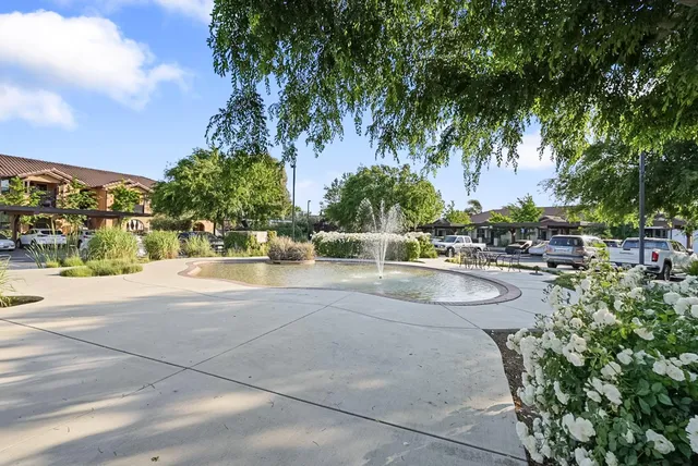 a view of a swimming pool with a lawn chairs under palm trees
