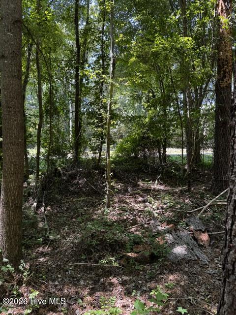 Lot 1 Dan Road Robbins, NC 27325 - Photo 11 of 20 10
