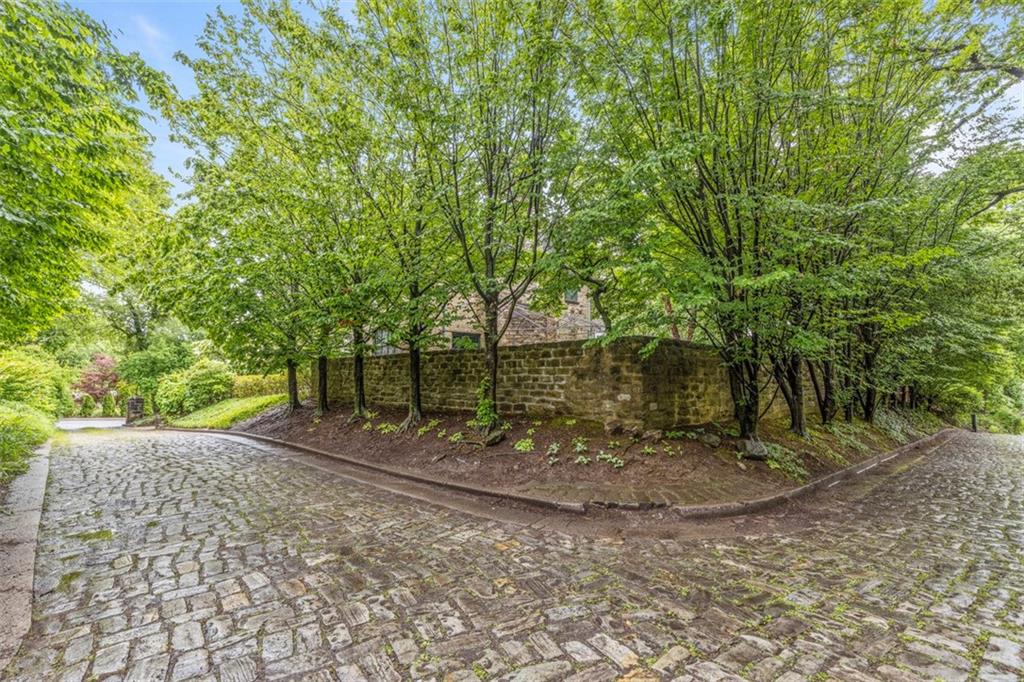 1 Robin Road Pittsburgh, PA 15217 - Photo 43 of 48 a view of a tree in the middle of a yard