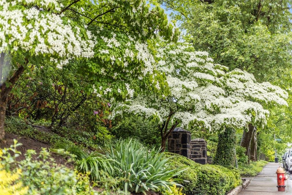 1 Robin Road Pittsburgh, PA 15217 - Photo 46 of 48 a view of a garden