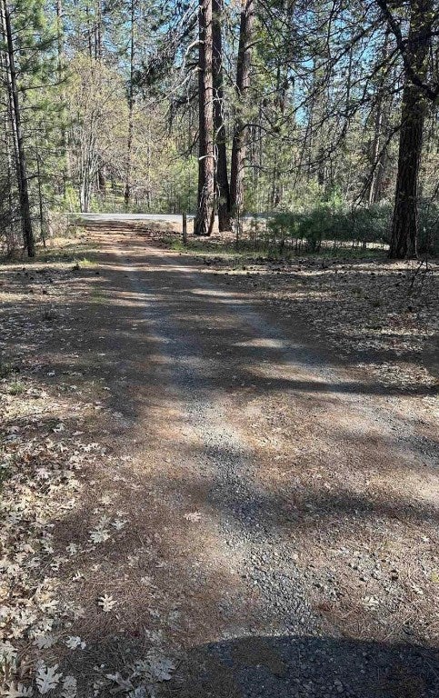 5711 Scott River Road Fort Jones, CA 96032 - Photo 1 of 5 Gallery Image 1