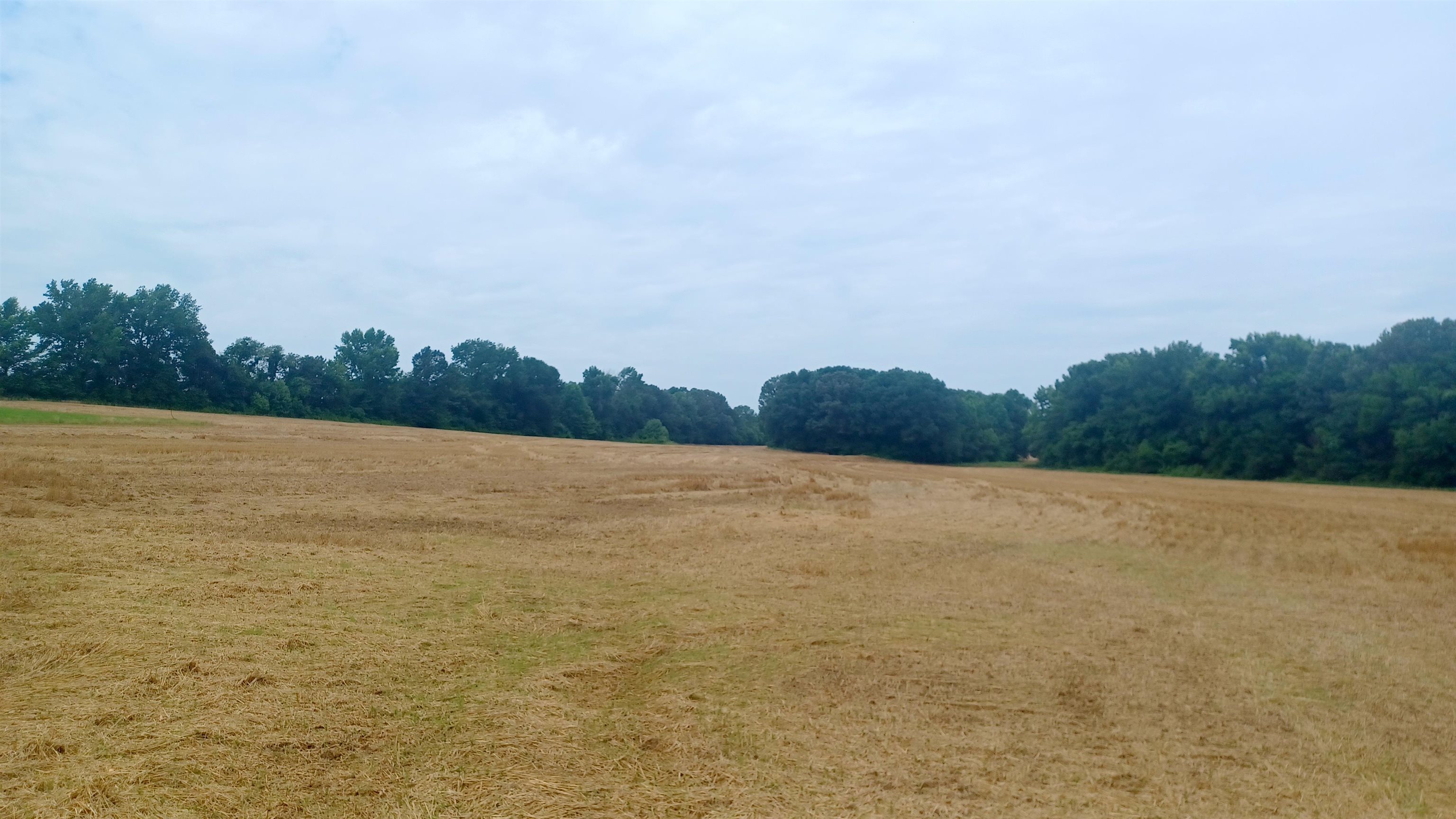 0 Douglas At Douglas Loop Ridge Stanton, TN 38069 - Photo 5 of 13 a view of lake and mountain view