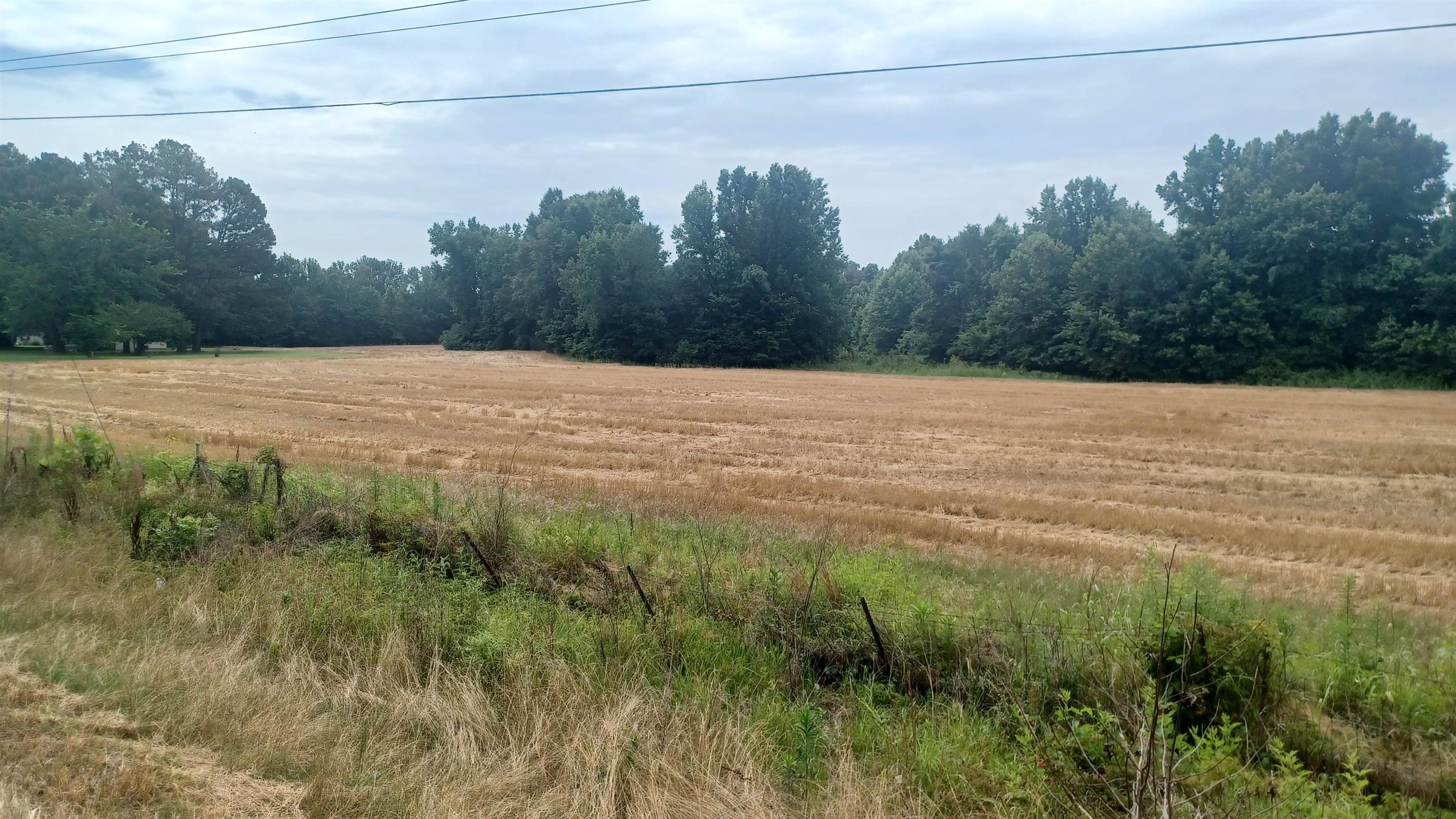 0 Douglas At Douglas Loop Ridge Stanton, TN 38069 - Photo 8 of 13 a view of a field with trees in the background