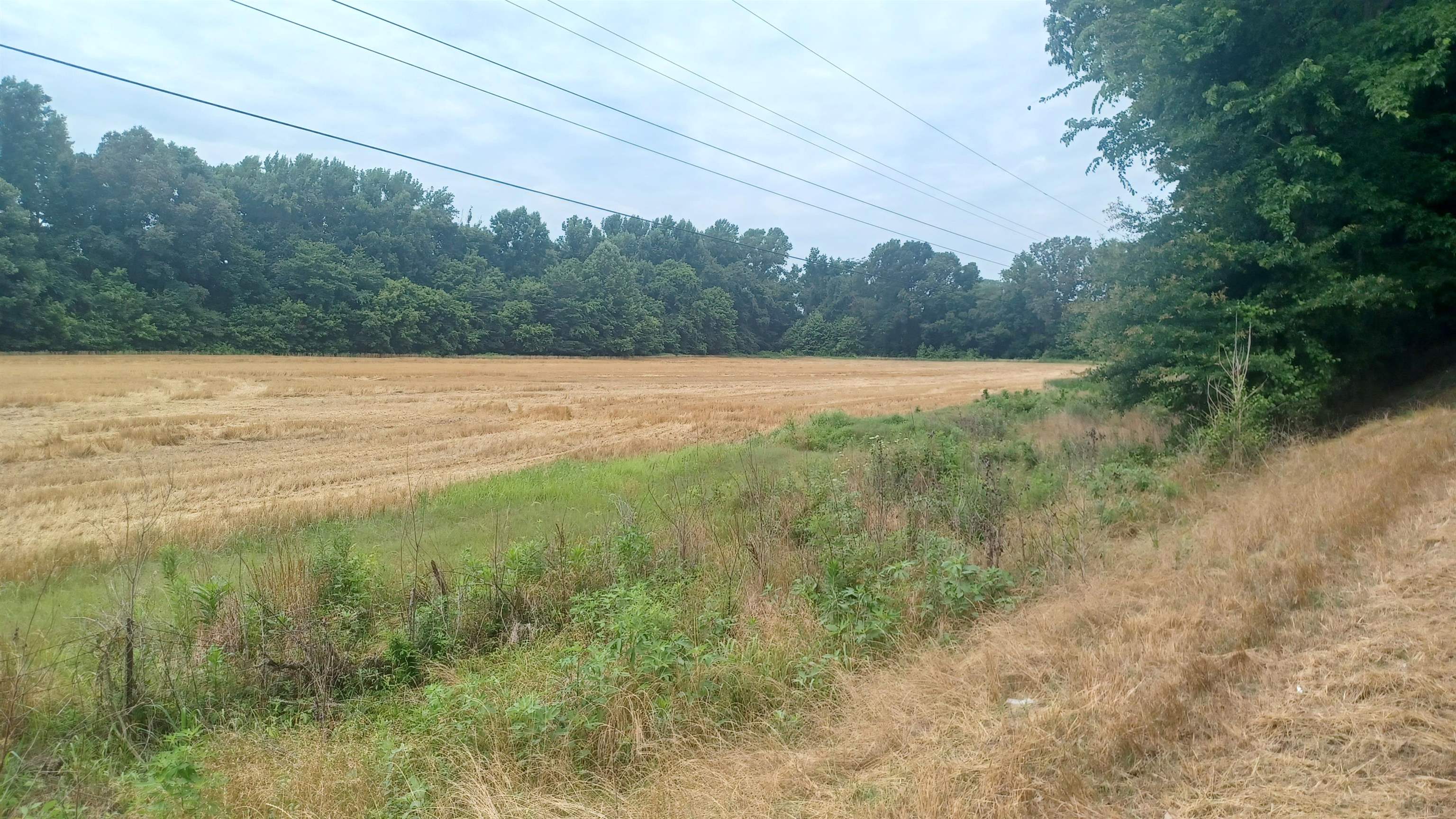 0 Douglas At Douglas Loop Ridge Stanton, TN 38069 - Photo 9 of 13 a view of yard with green space
