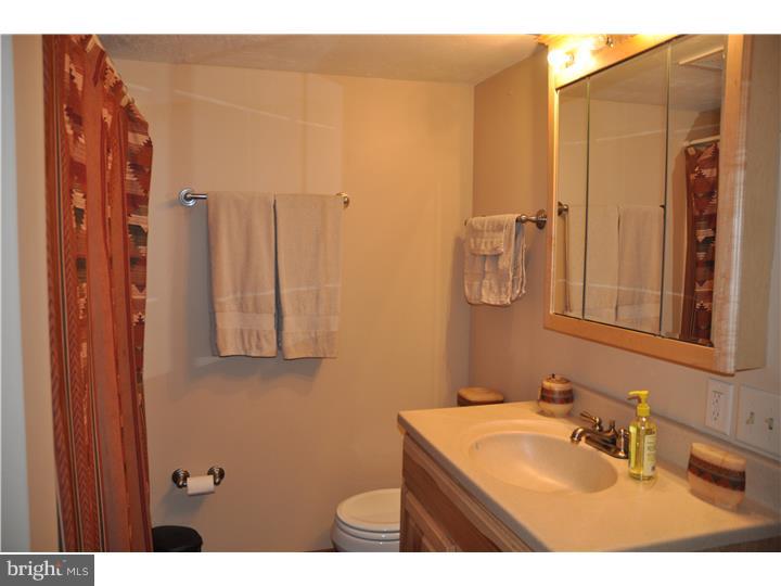 951 State Road Coopersburg, PA 18036 - Photo 14 of 22 Bathroom