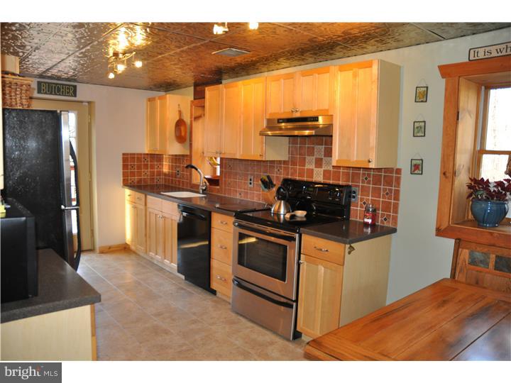 951 State Road Coopersburg, PA 18036 - Photo 3 of 22 Kitchen