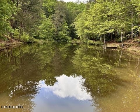 188 Dalton Branch Road Tellico Plains, TN 37385 - Photo 32 of 42