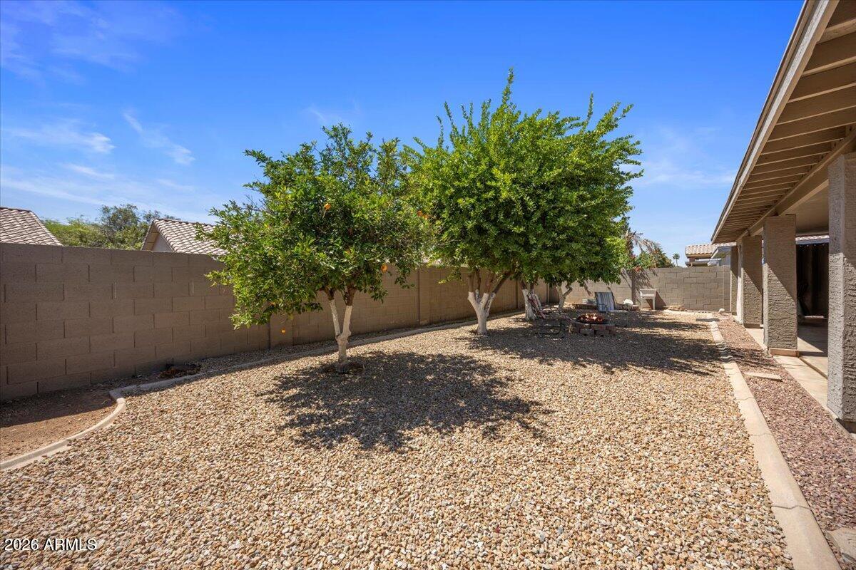 49 West Ivanhoe Street Gilbert, AZ 85233 - Photo 30 of 54 29-IMG_8418