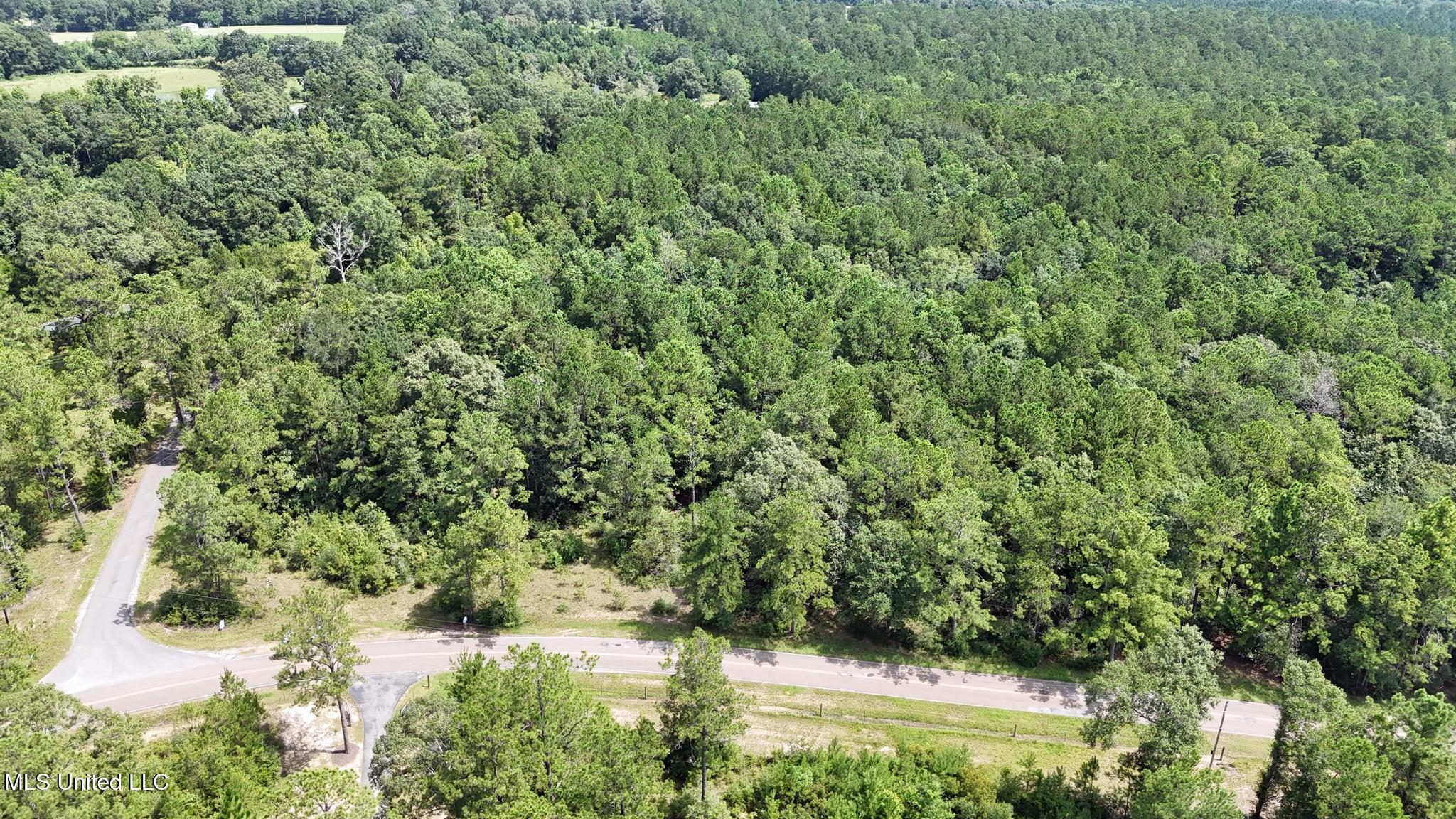 0 Cressionnie Road Carriere, MS 39426 - Photo 12 of 12 009